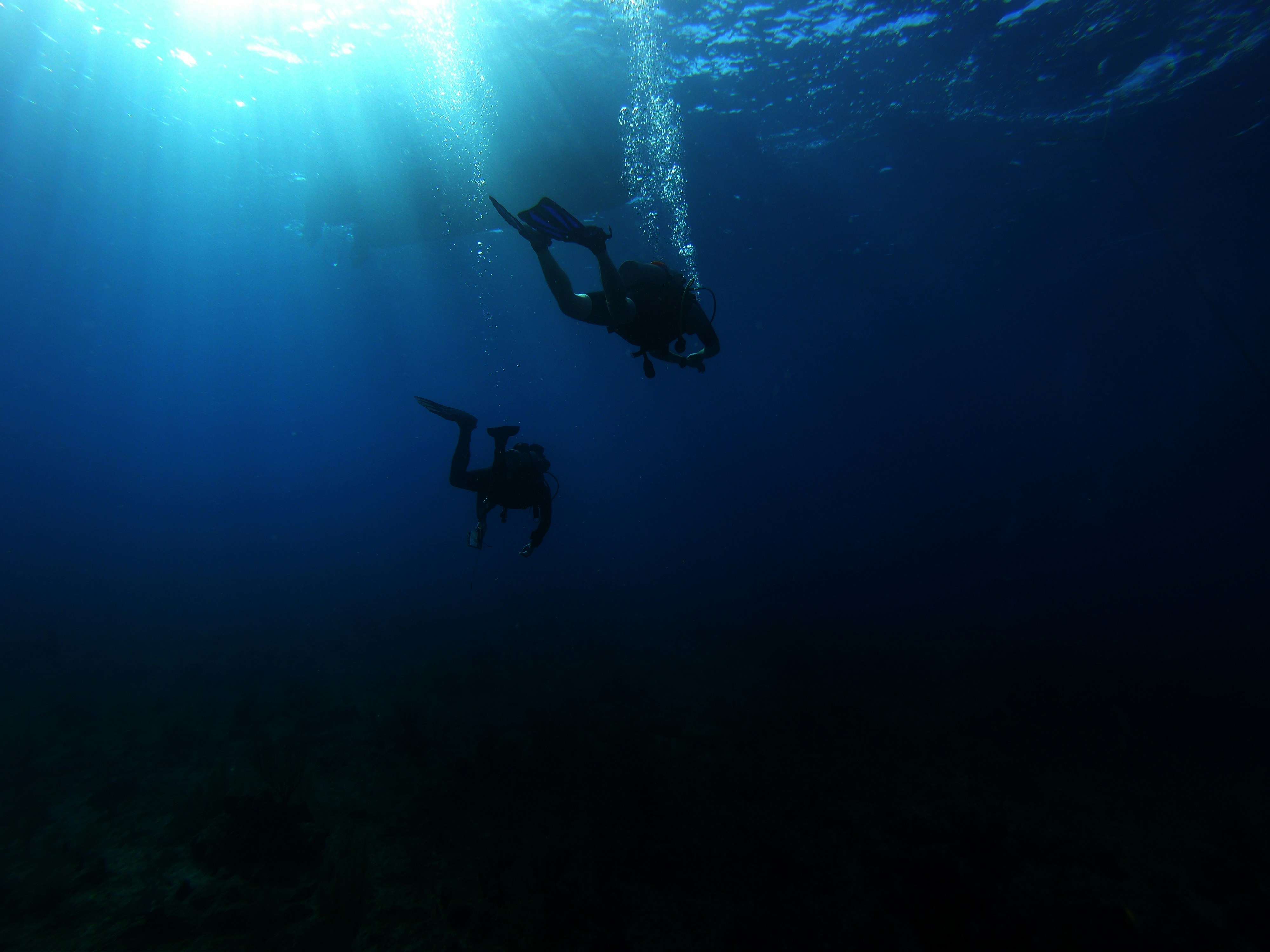 Japanese Wreck Snorkeling