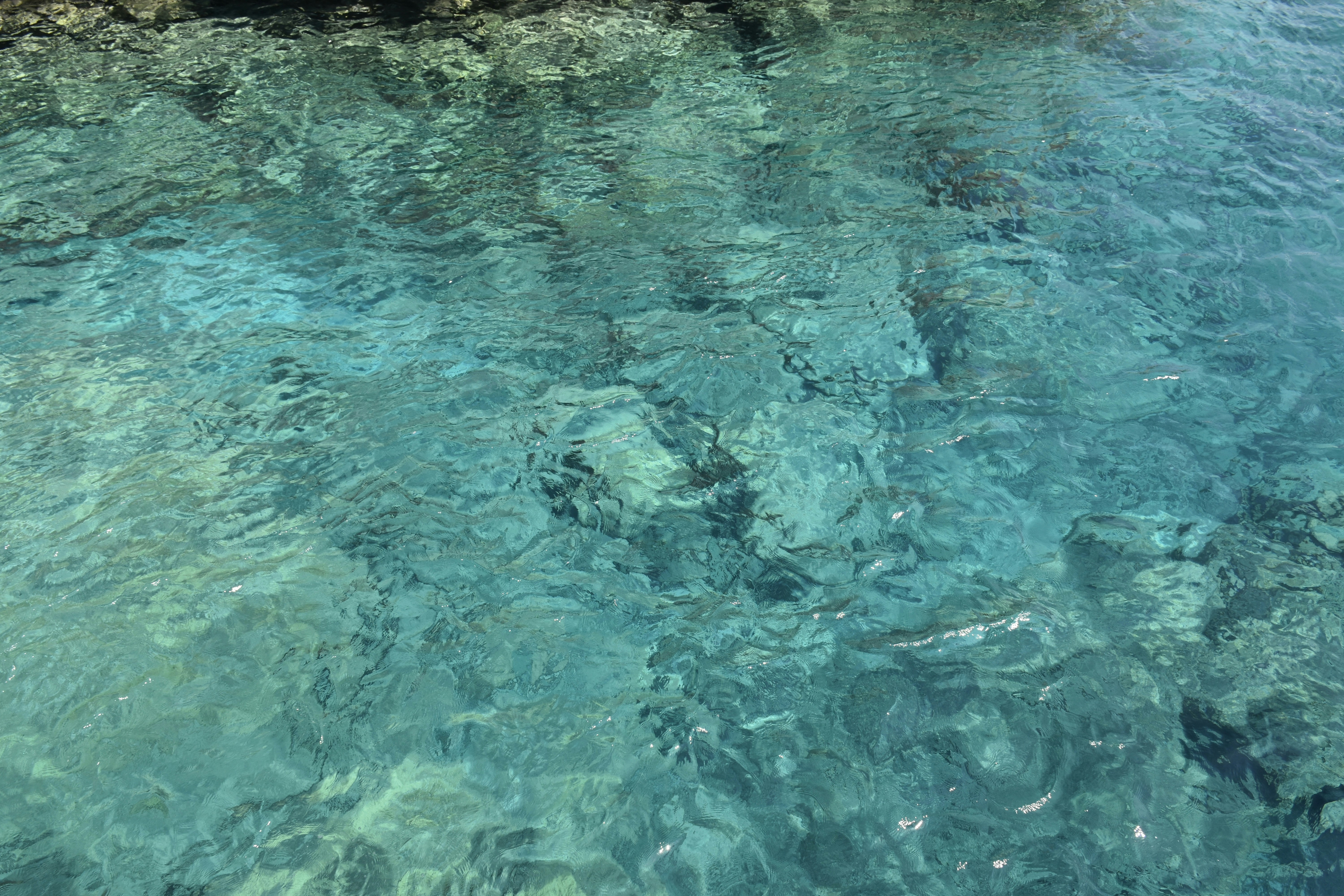 Snorkeling Adventures